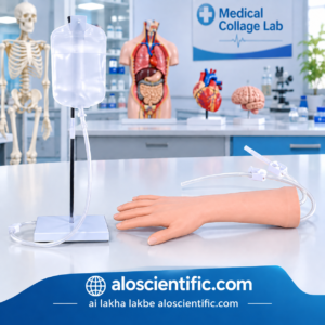 XC-441 IV Training Hand for nursing practice