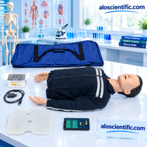 XC-404C Adult CPR with APP Controlled Training Manikin