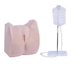 Female Urethral Catheterization Simulator XC-405B