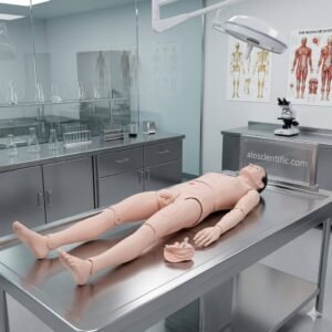 High Quality Nurse Training Manikin Male XC-401A