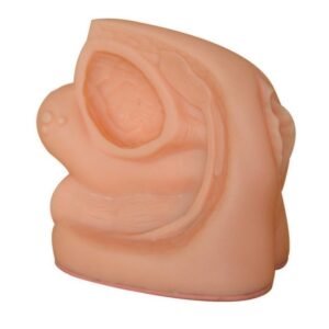 Advanced Female Genital Organs Model XC-332C